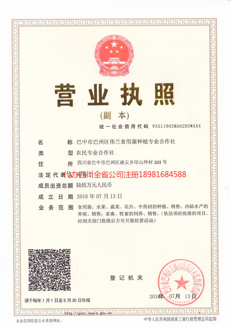 和田地区和田地区伟兰食用菌种植专业合作社